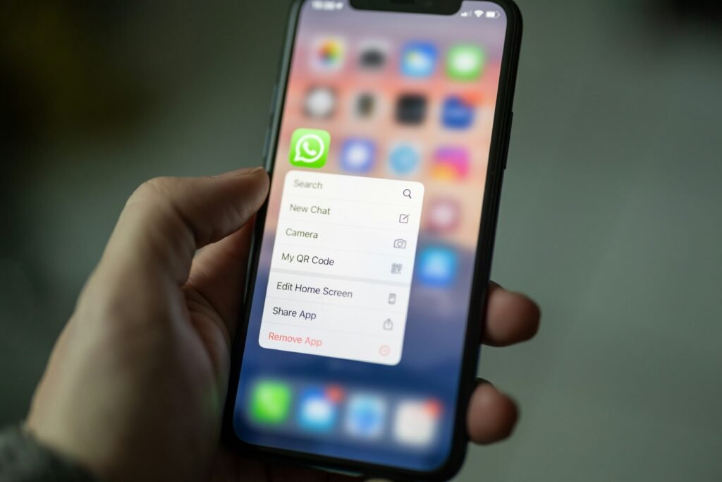 WhatsApp Business API vs regular WhatsApp business app retail workflow comparison by The Tapi Media